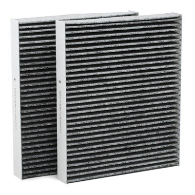 Pollen filter