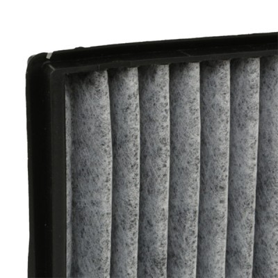 Pollen filter