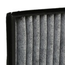 Pollen filter