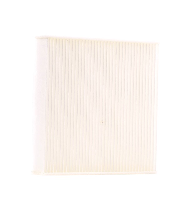 Pollen filter